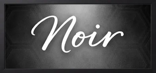 Noir custom pet portrait from photo style dramatic black and white pet wall art