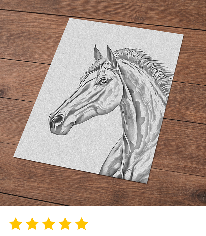 Elegant black and white horse portrait artwork displayed on wooden floor