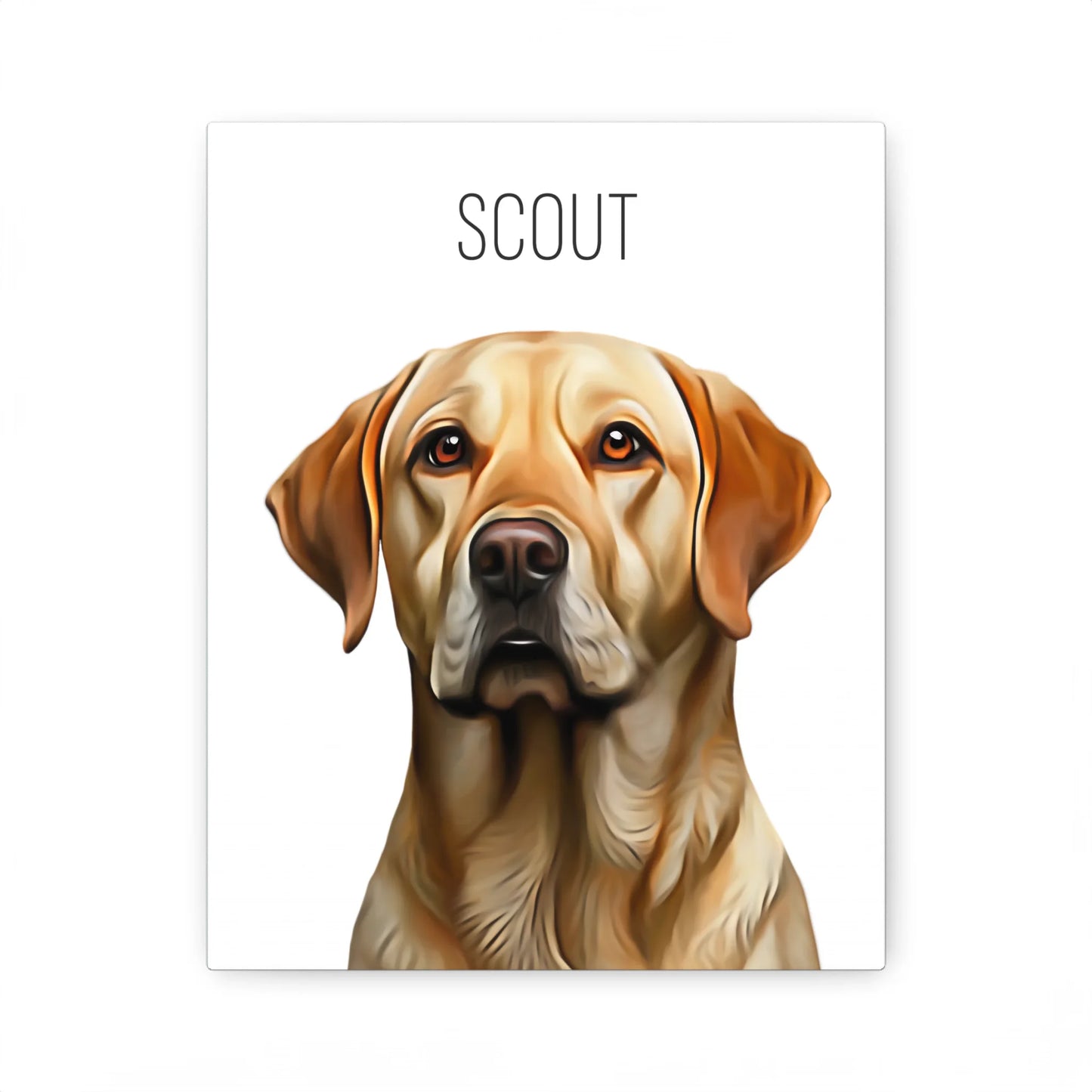 03 01 A Canvas 8x10 Front