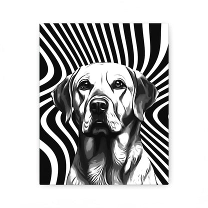 03 01 A Canvas 8x10 Front