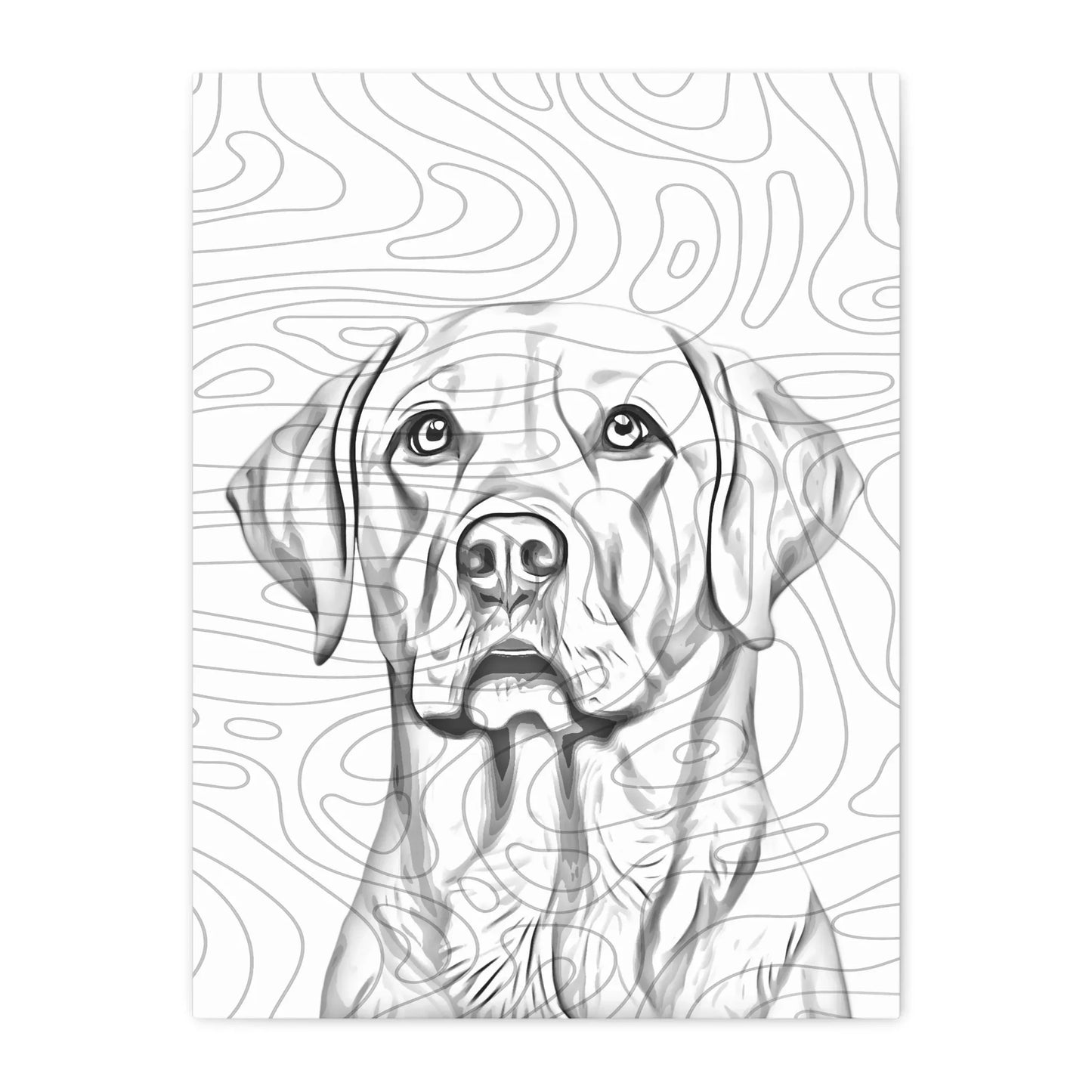03 03 A Canvas 18x24 Front