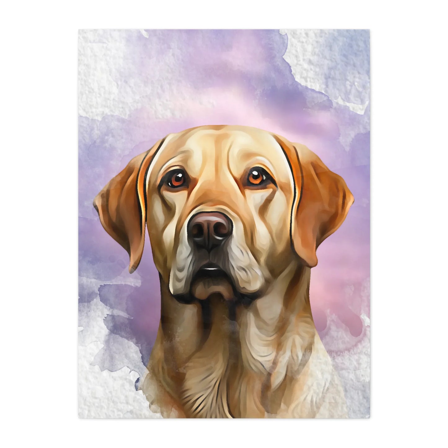 03 05 A Canvas 30x40 Front