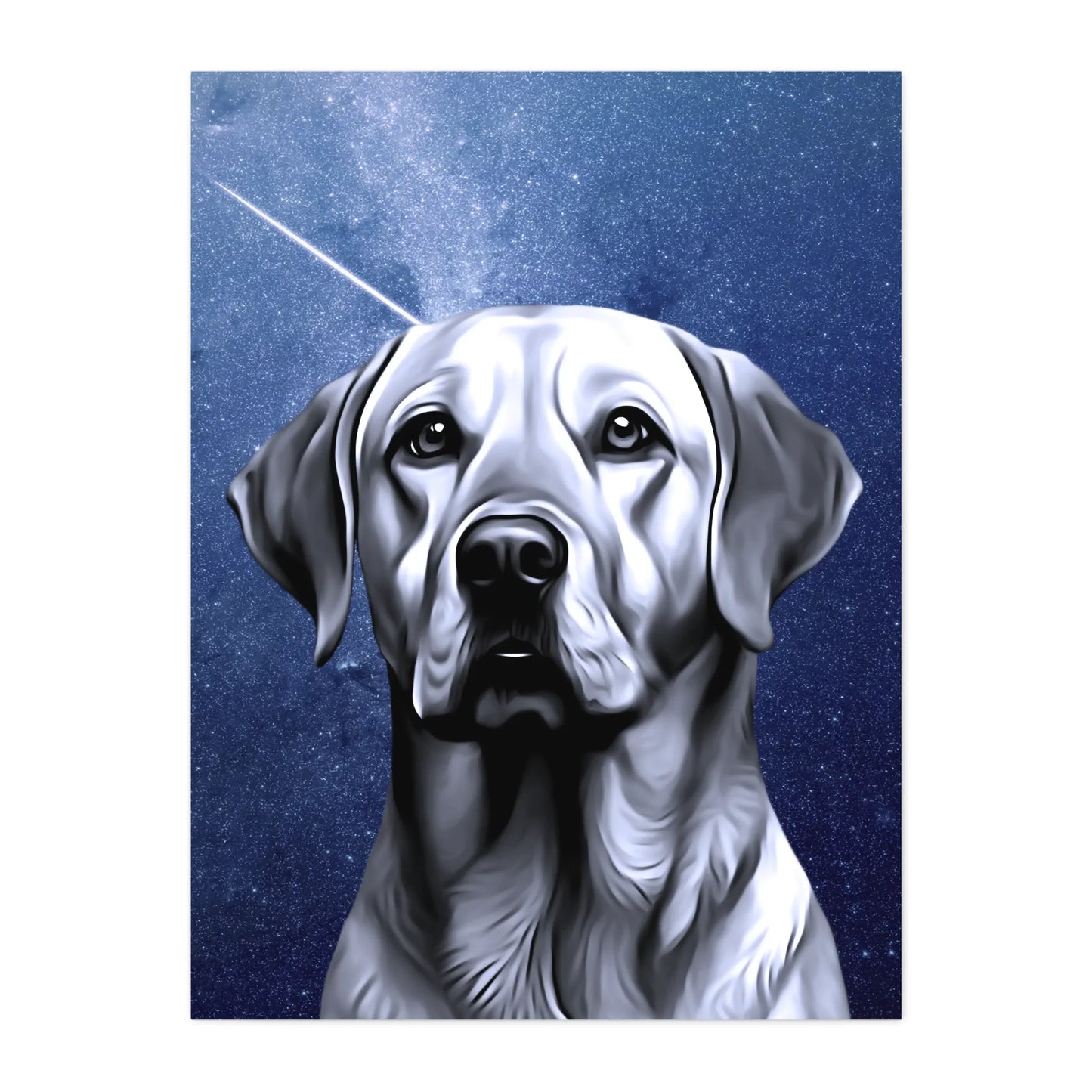 03 05 A Canvas 30x40 Front