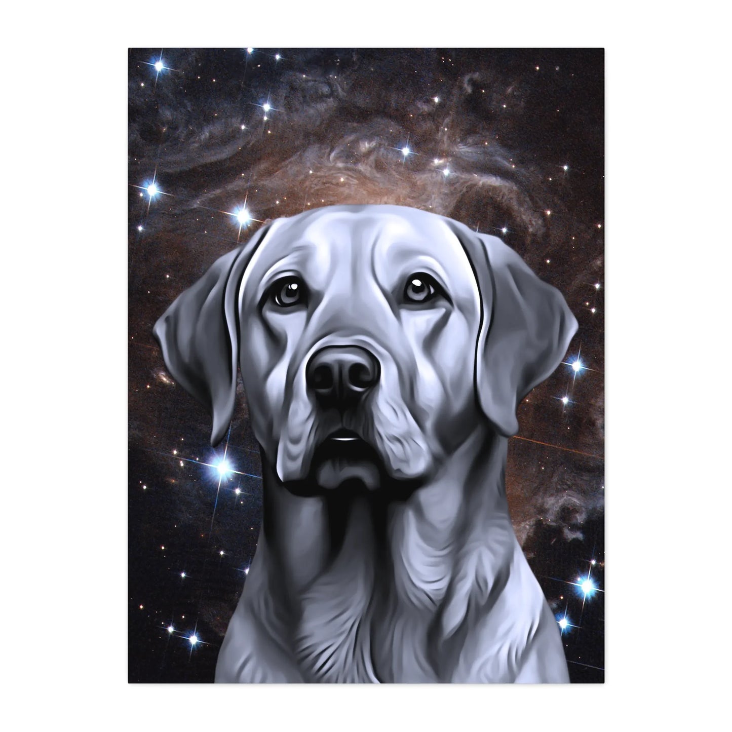 03 05 A Canvas 30x40 Front