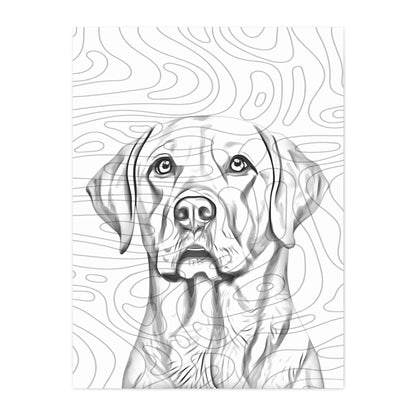 03 05 A Canvas 30x40 Front