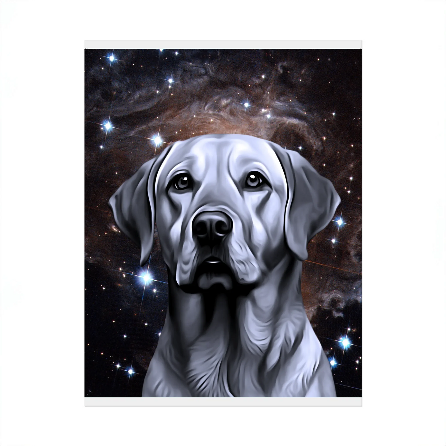 02 01 A Poster 8x10 Front