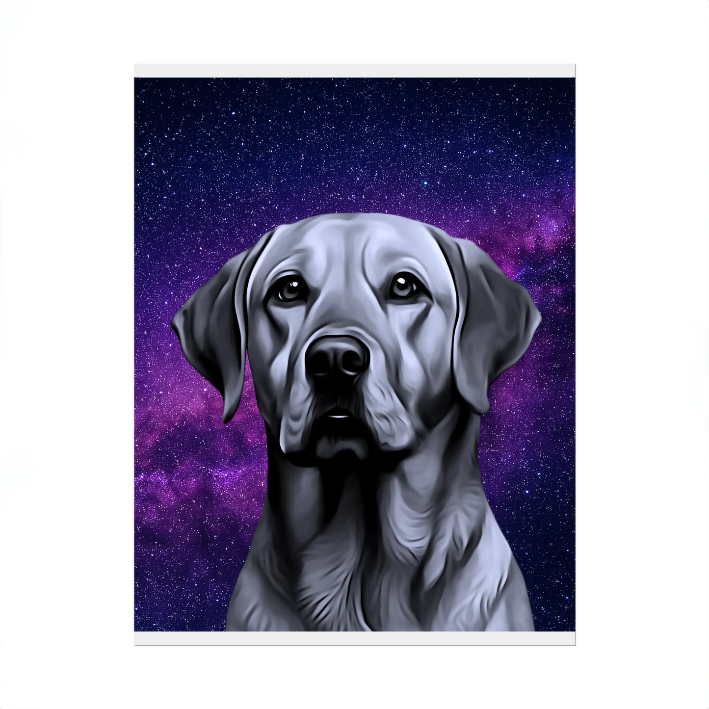 02 01 A Poster 8x10 Front