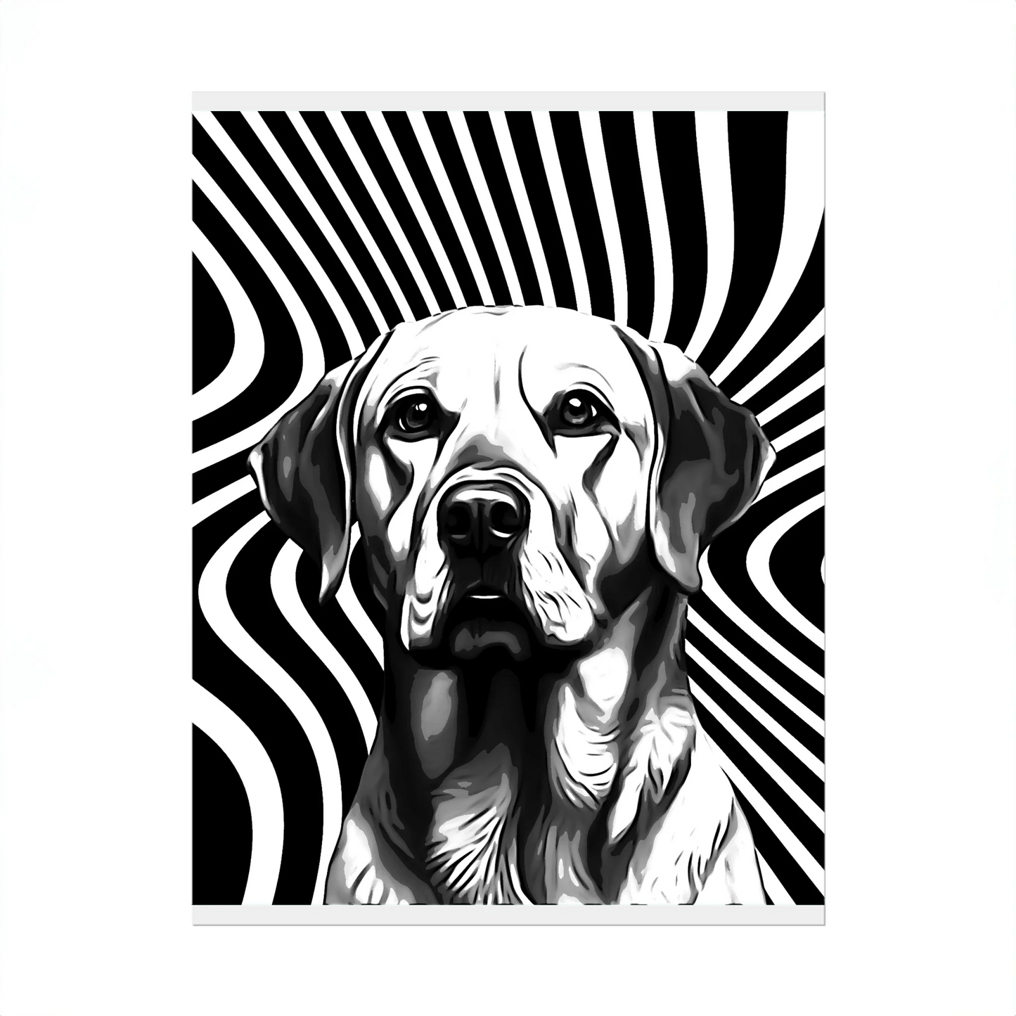 02 01 A Poster 8x10 Front