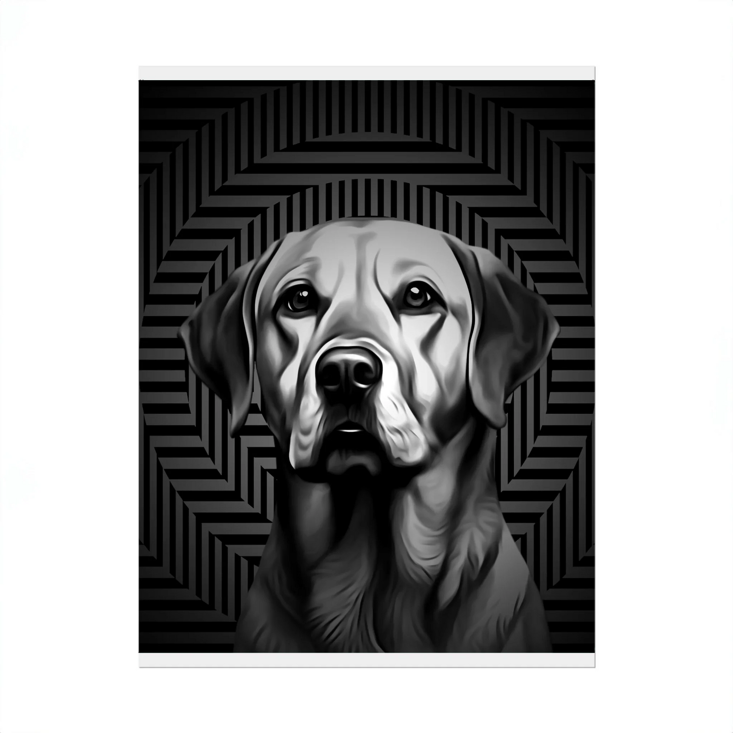 02 01 A Poster 8x10 Front