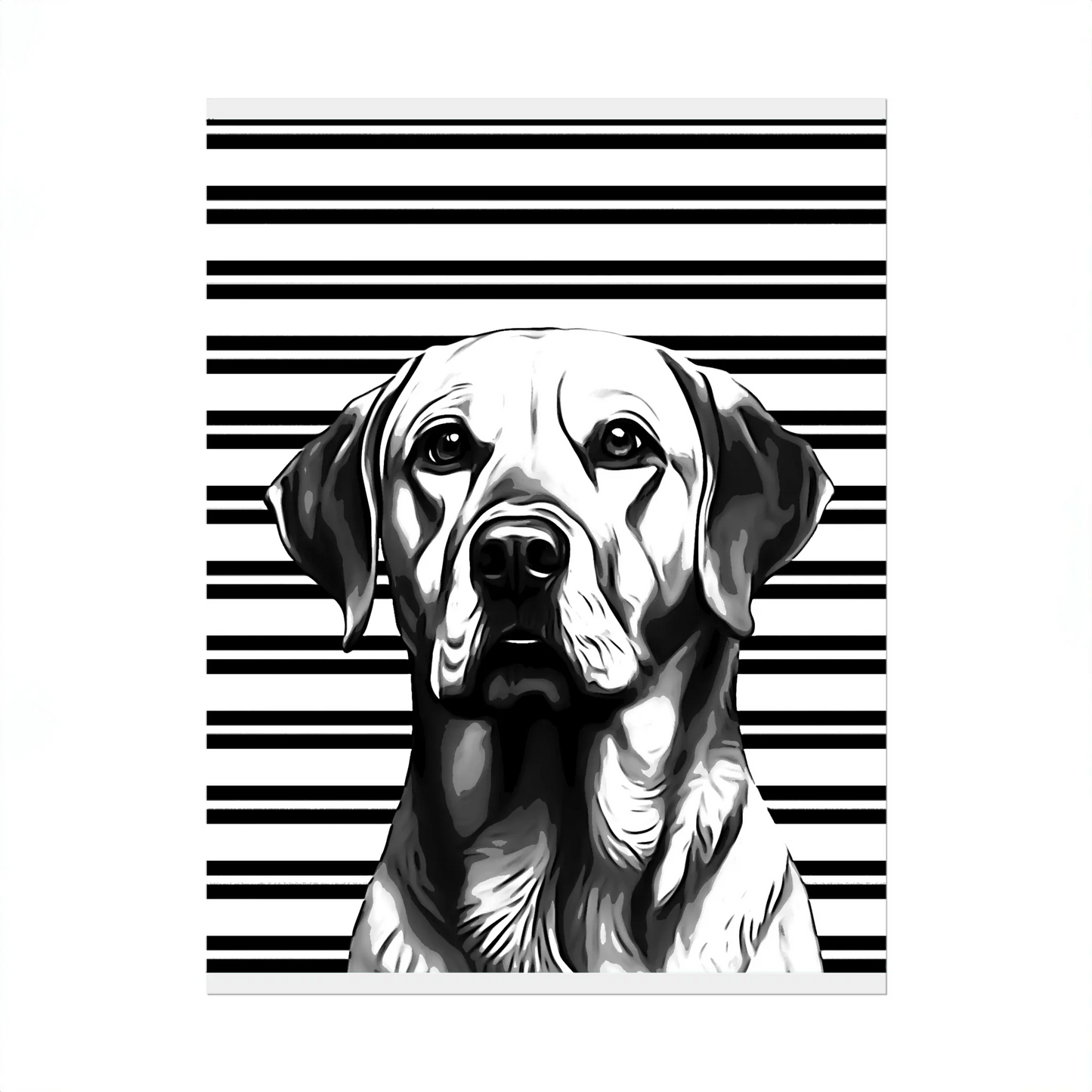 02 01 A Poster 8x10 Front