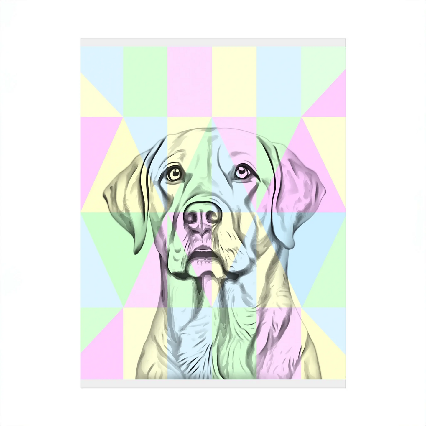 02 01 A Poster 8x10 Front