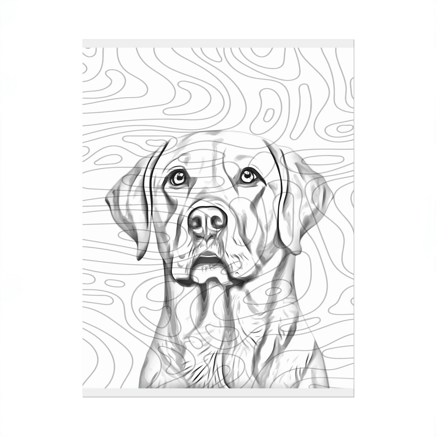 02 01 A Poster 8x10 Front