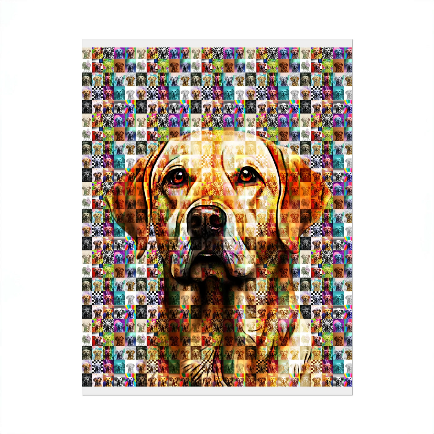 02 01 A Poster 8x10 Front