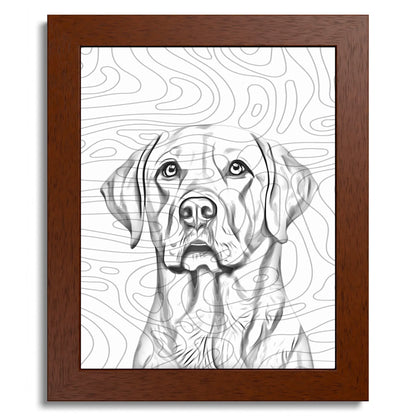 01 01 B Frame 8x10 Brown Front