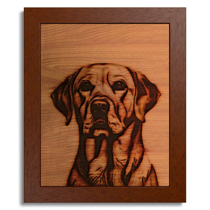 01 01 B Frame 8x10 Brown Front