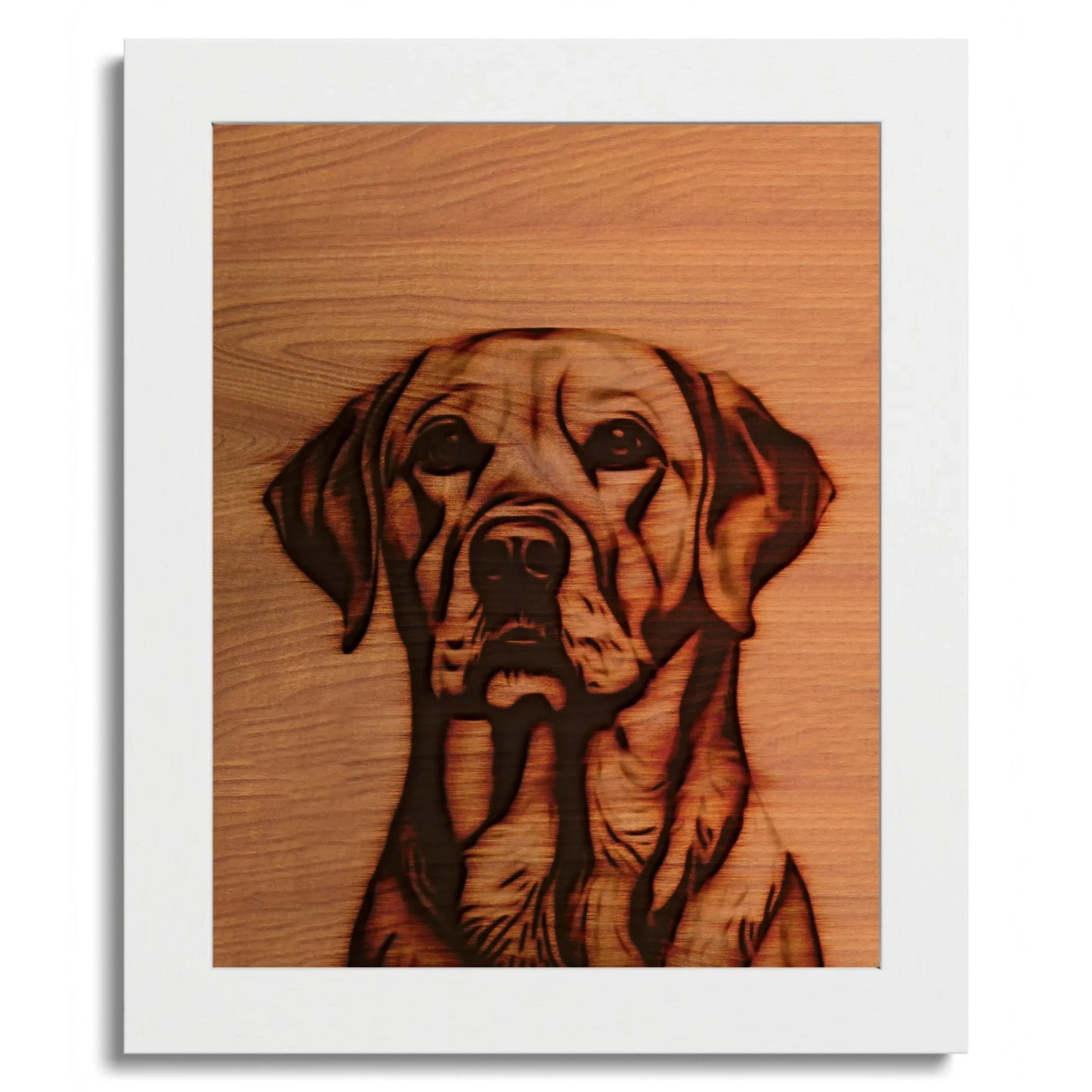 01 01 C Frame 8x10 White Front