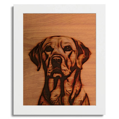 01 01 C Frame 8x10 White Front