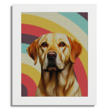 01 01 C Frame 8x10 White Front