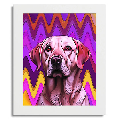 01 01 C Frame 8x10 White Front