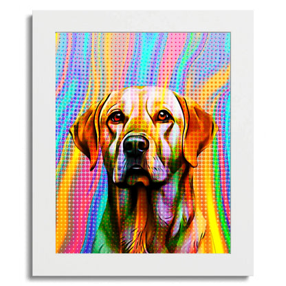 01 01 C Frame 8x10 White Front