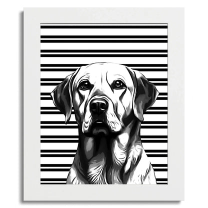 01 01 C Frame 8x10 White Front