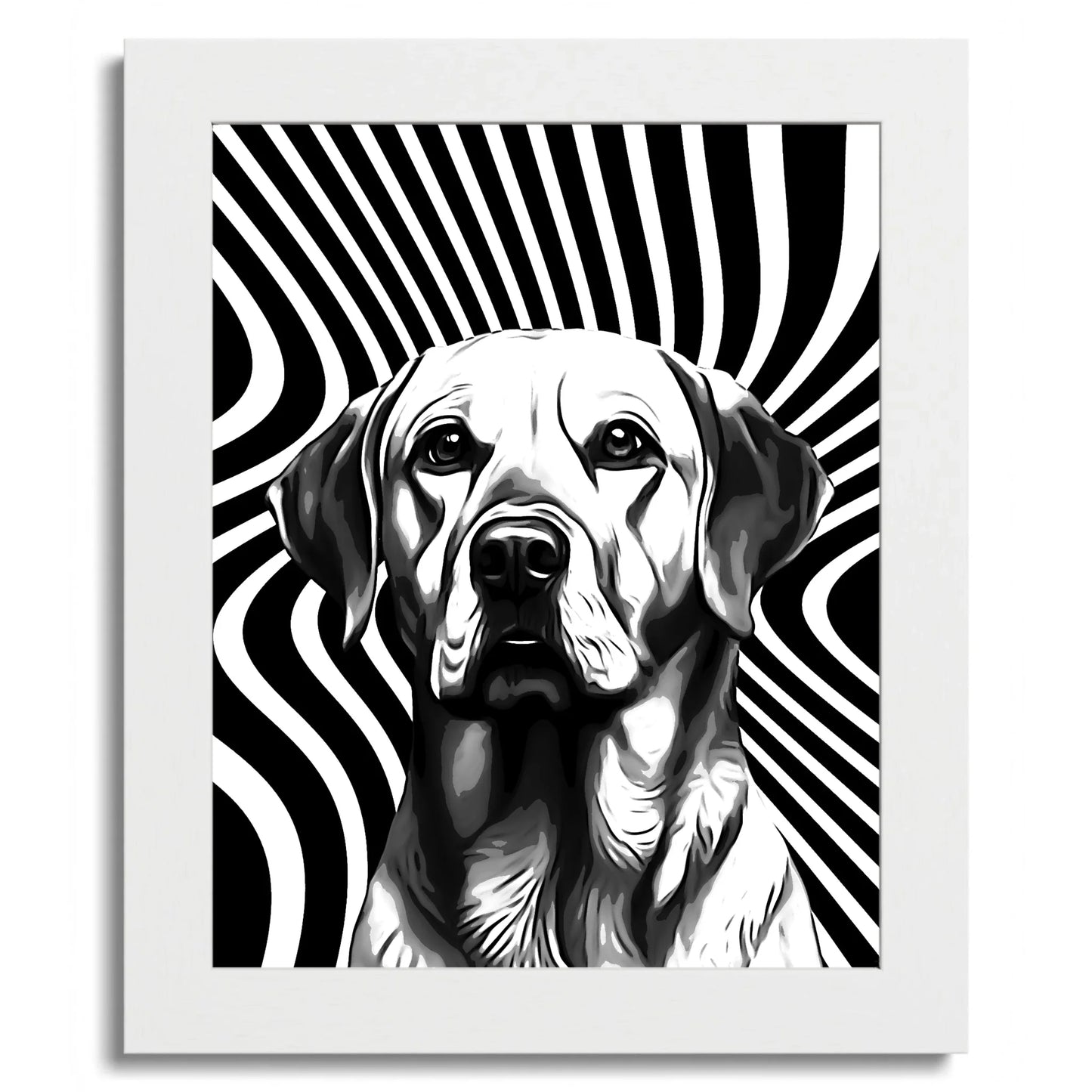 01 01 C Frame 8x10 White Front