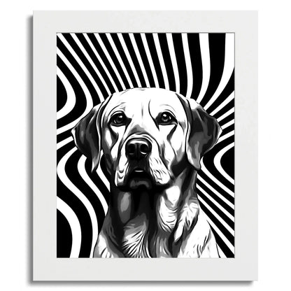 01 01 C Frame 8x10 White Front