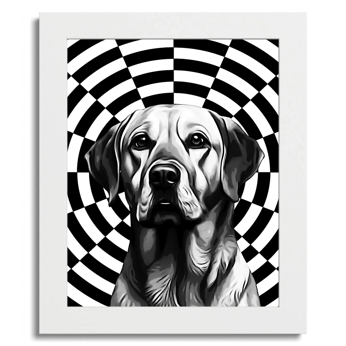 01 01 C Frame 8x10 White Front