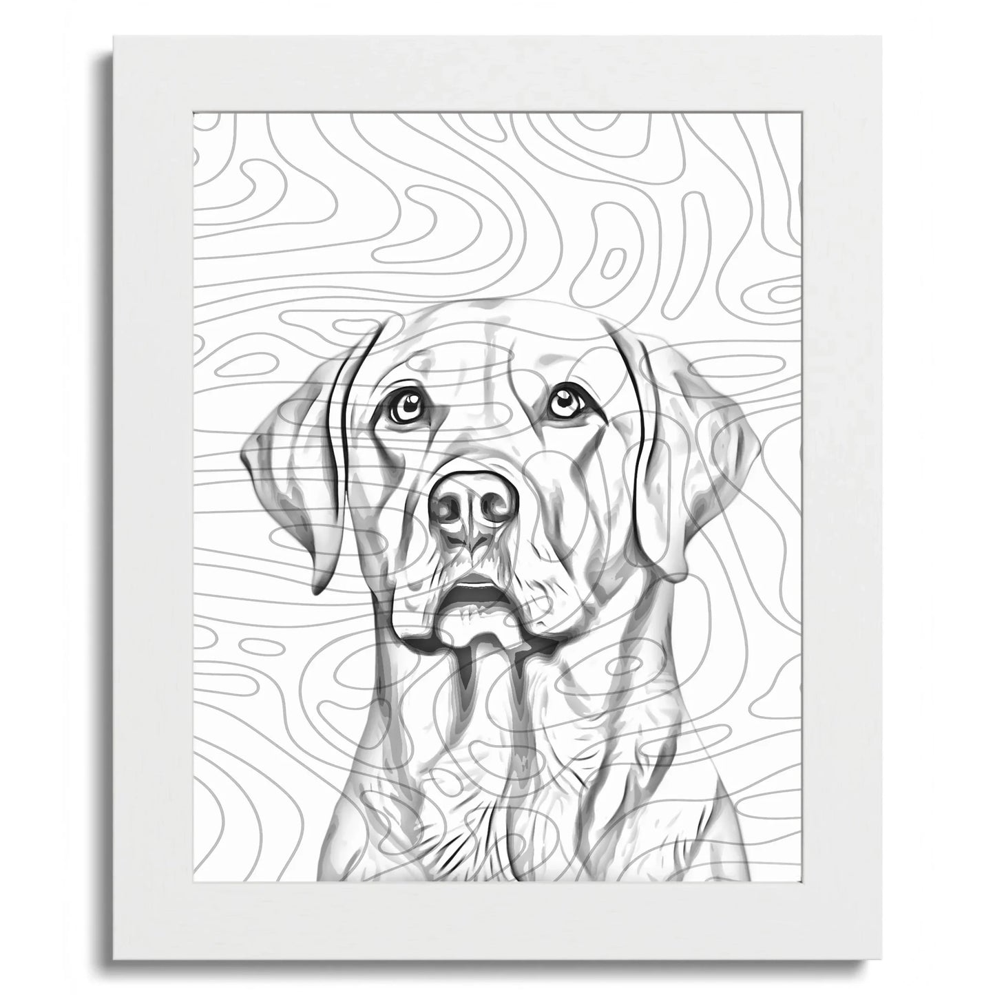 01 01 C Frame 8x10 White Front