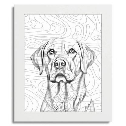 01 01 C Frame 8x10 White Front