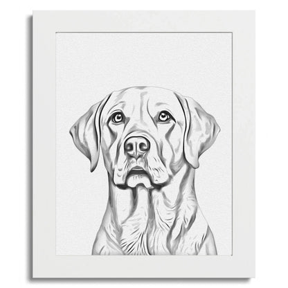 01 01 C Frame 8x10 White Front