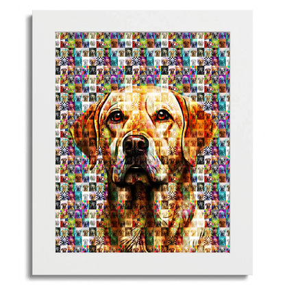 01 01 C Frame 8x10 White Front