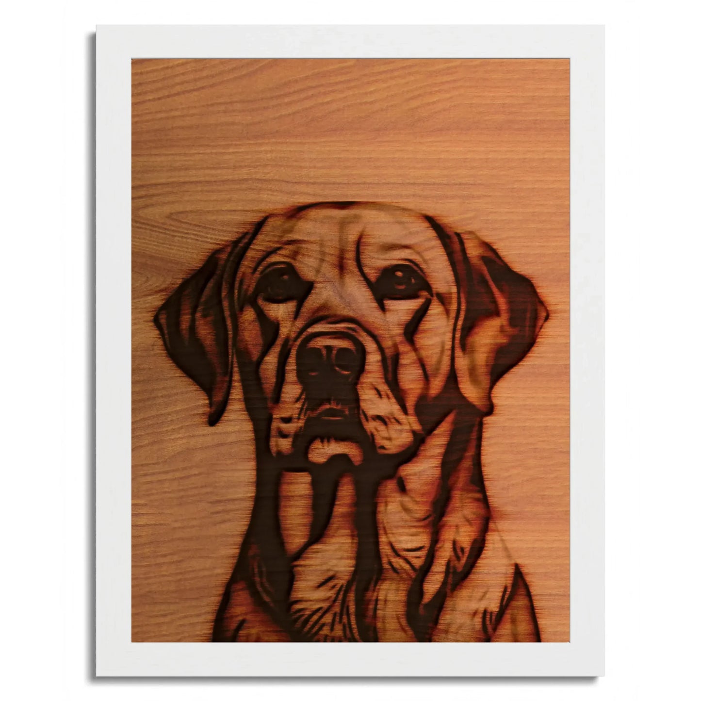 01 02 C Frame 12x16 White Front