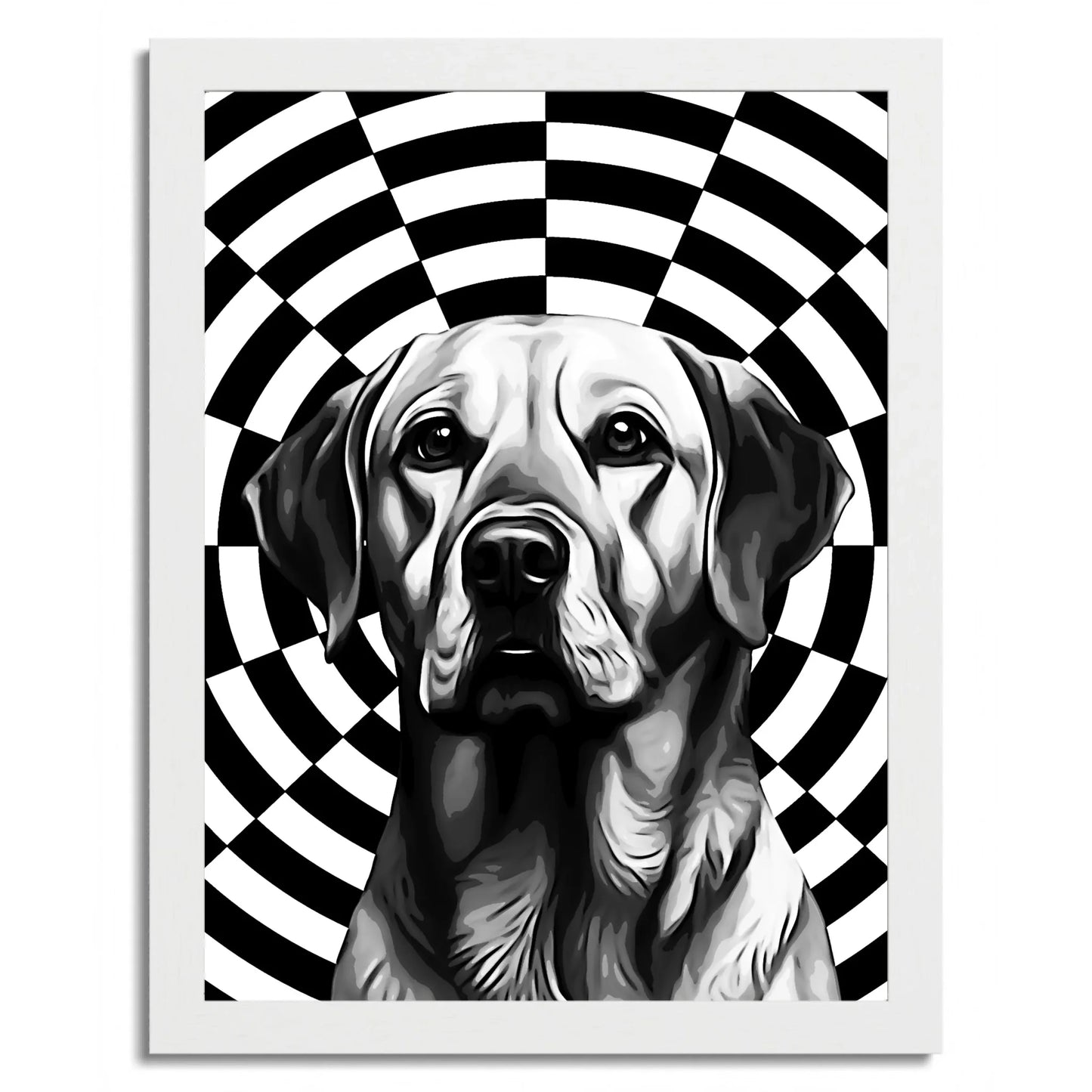 01 02 C Frame 12x16 White Front