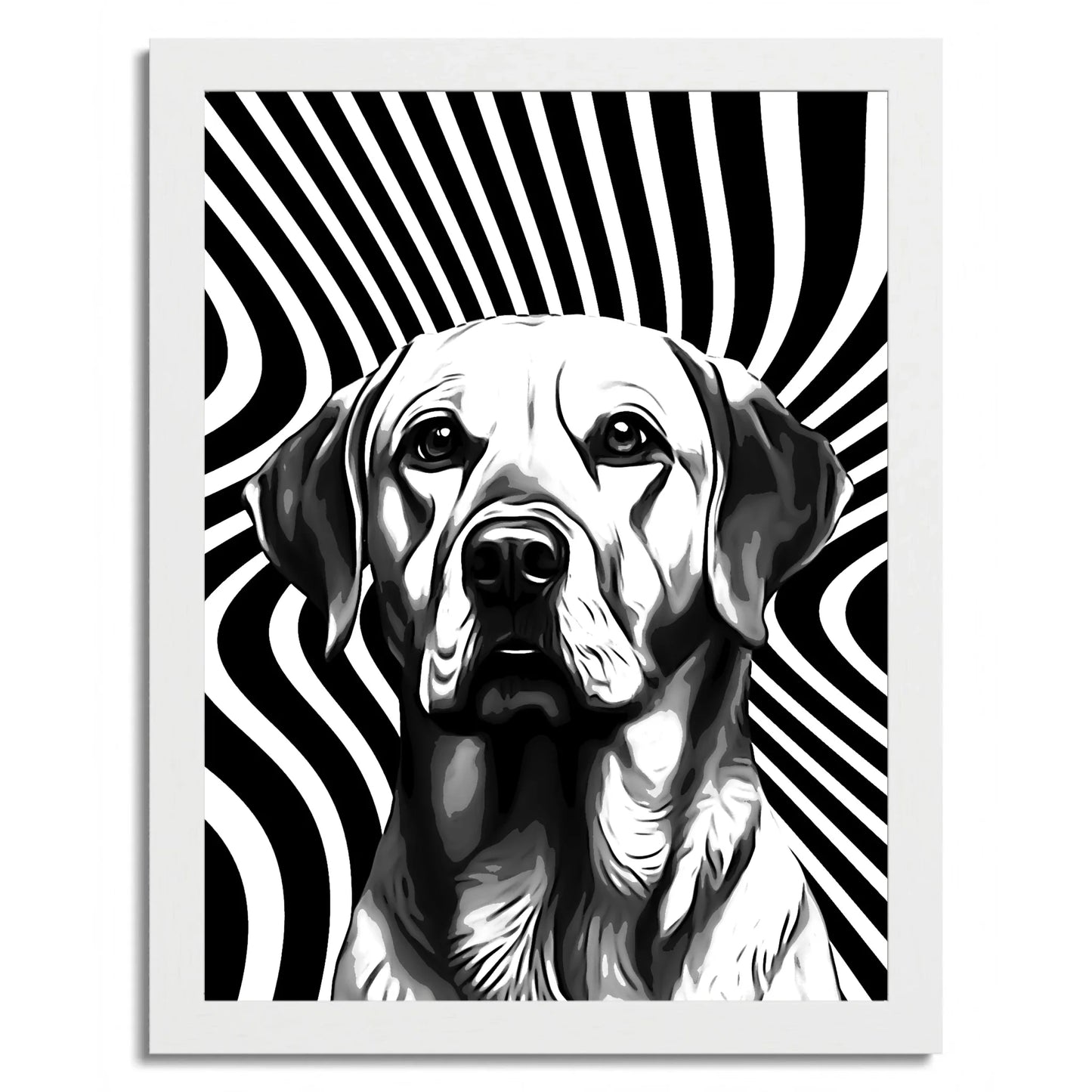 01 02 C Frame 12x16 White Front