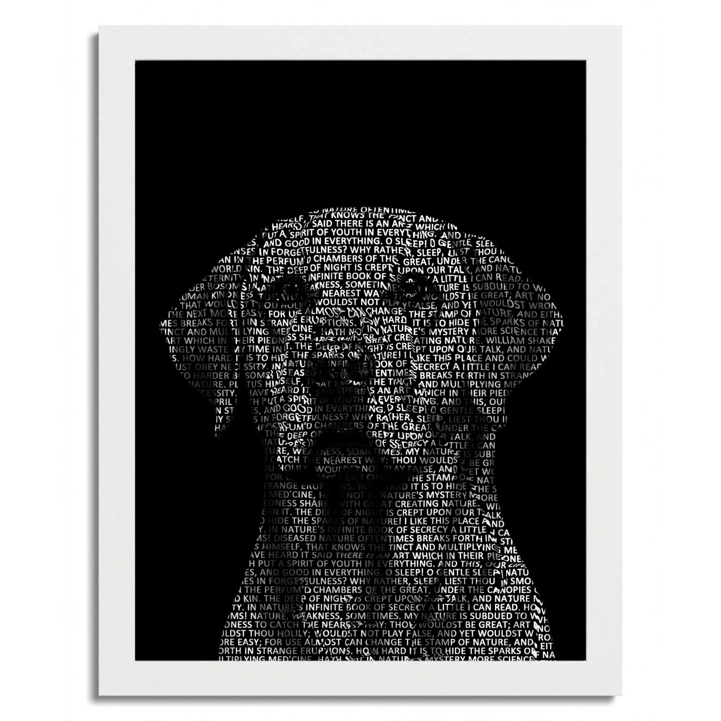 01 02 C Frame 12x16 White Front