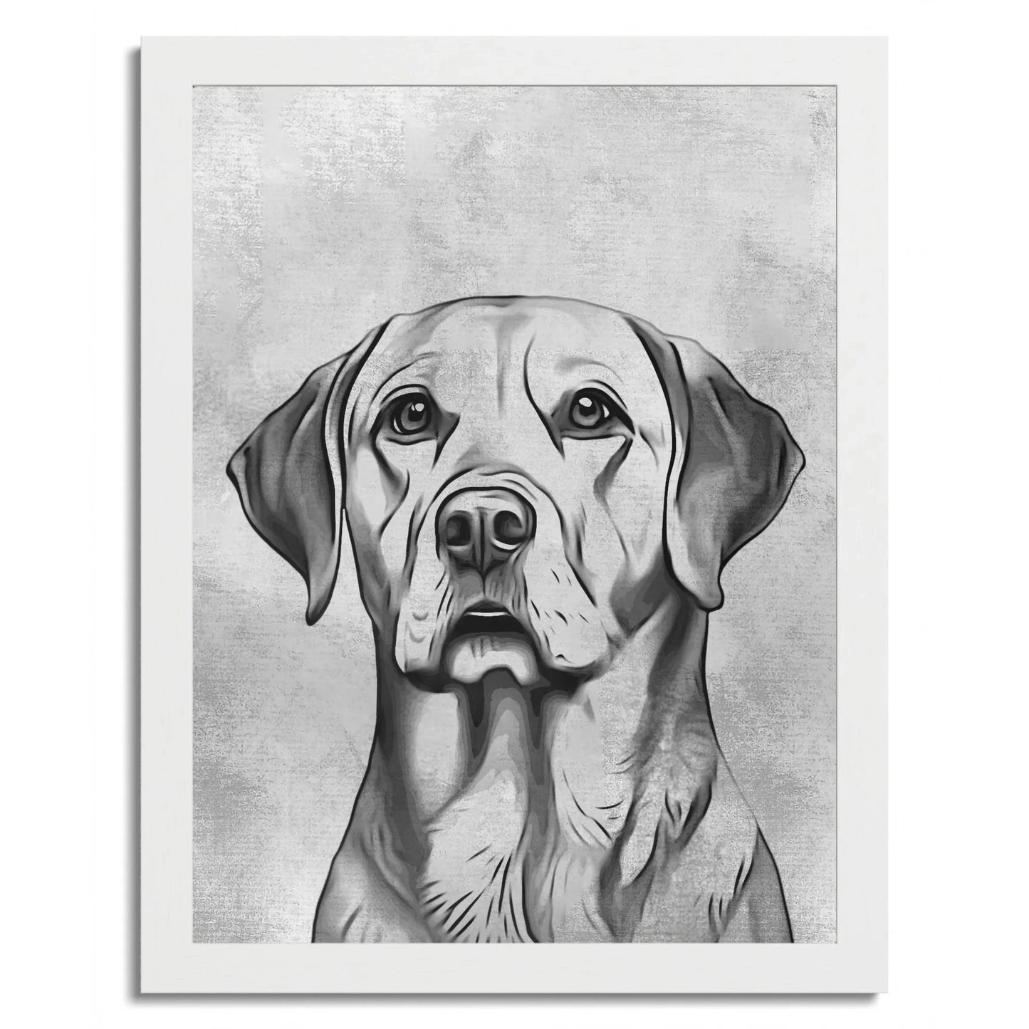 01 02 C Frame 12x16 White Front