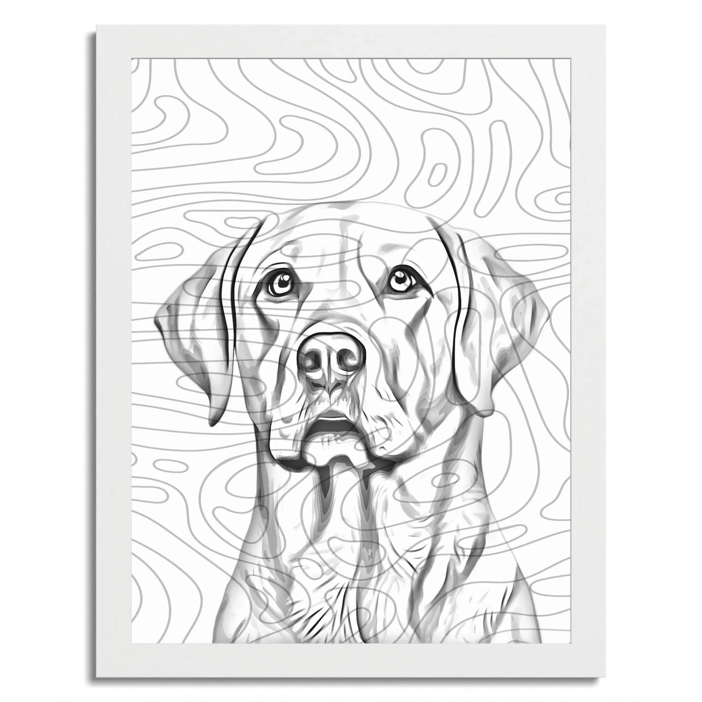 01 02 C Frame 12x16 White Front