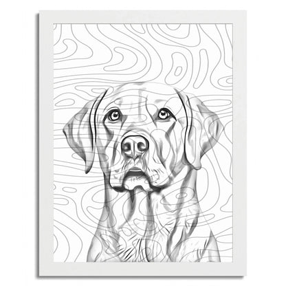 01 02 C Frame 12x16 White Front