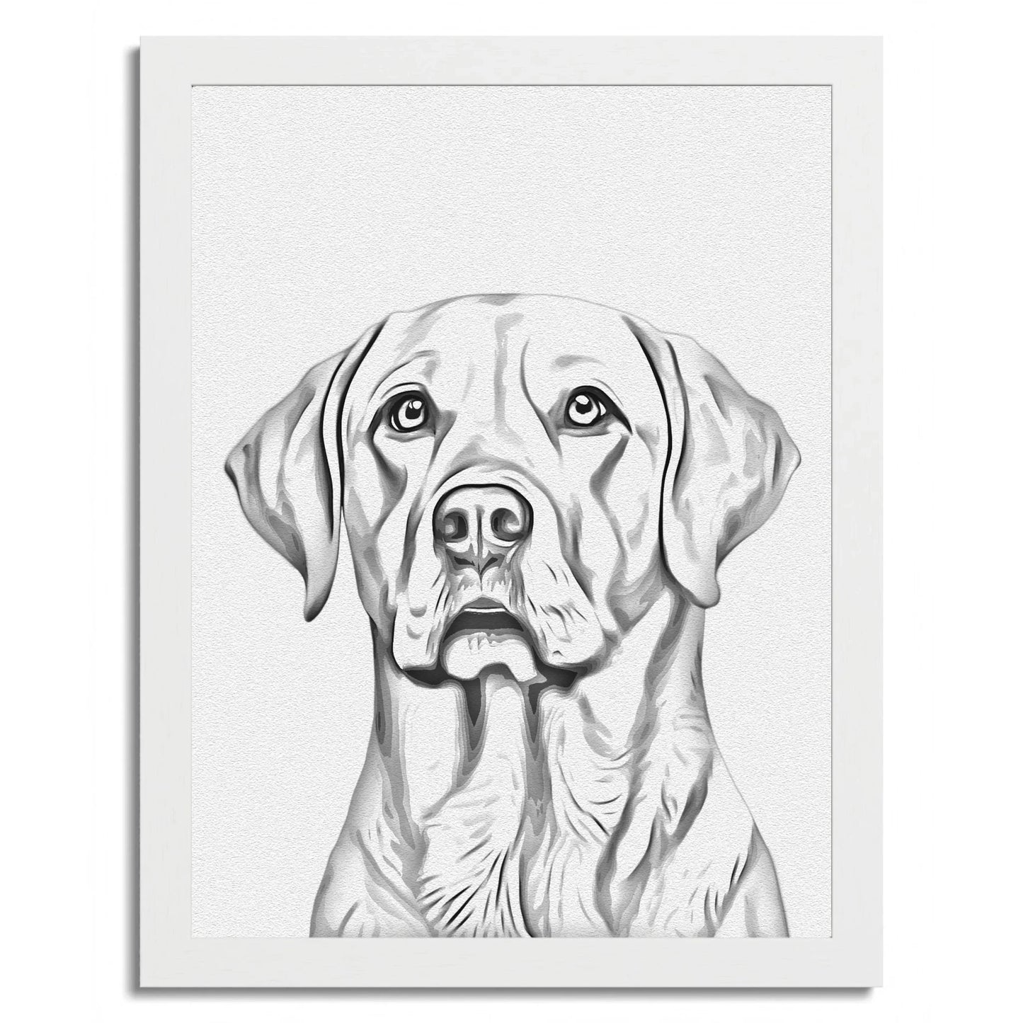 01 02 C Frame 12x16 White Front