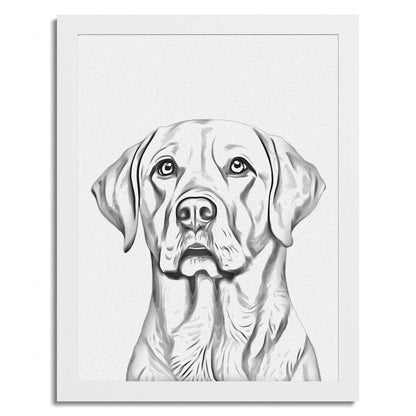 01 02 C Frame 12x16 White Front