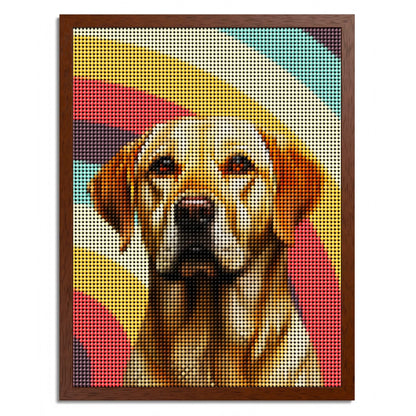 01 03 B Frame 18x24 Brown Front