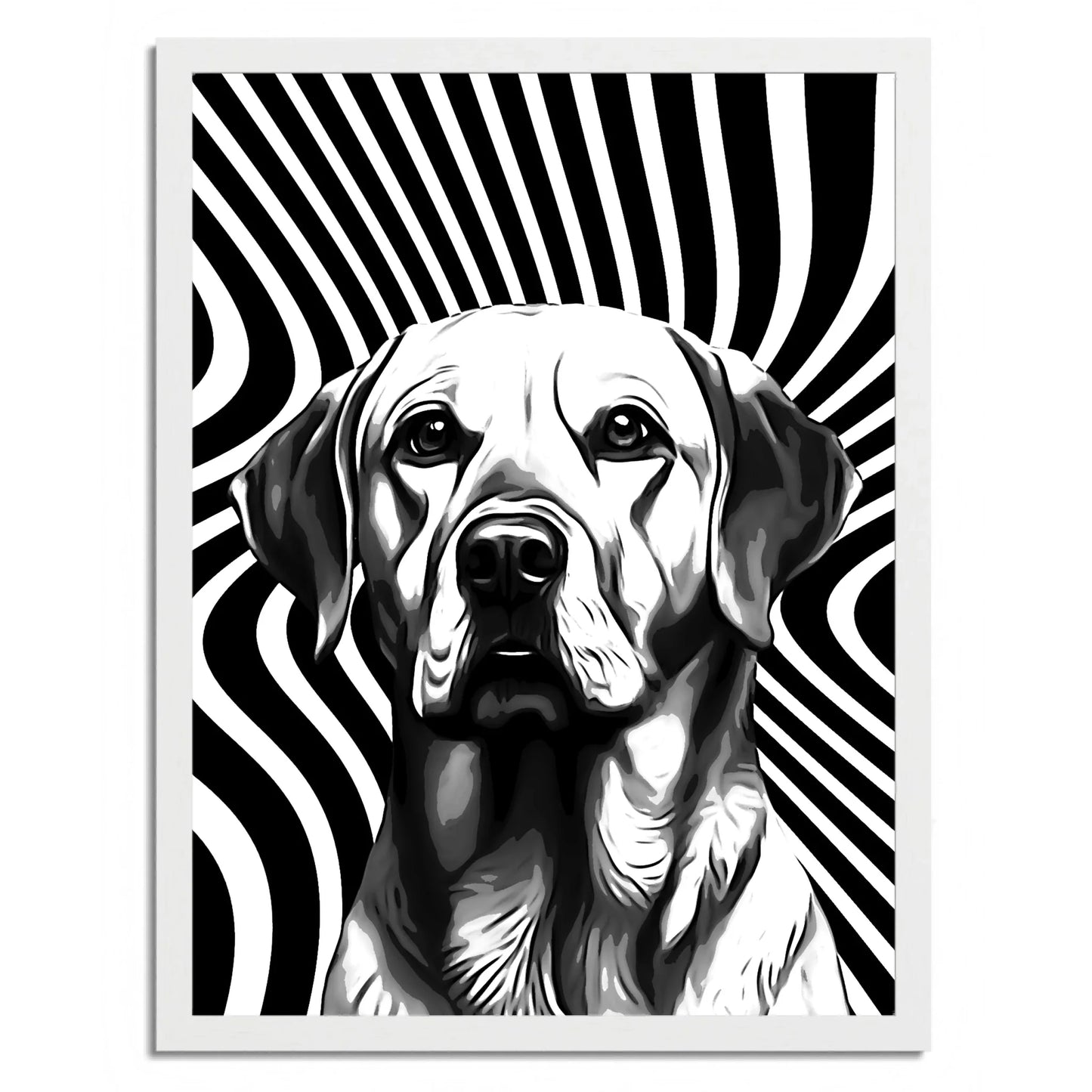01 03 C Frame 18x24 White Front