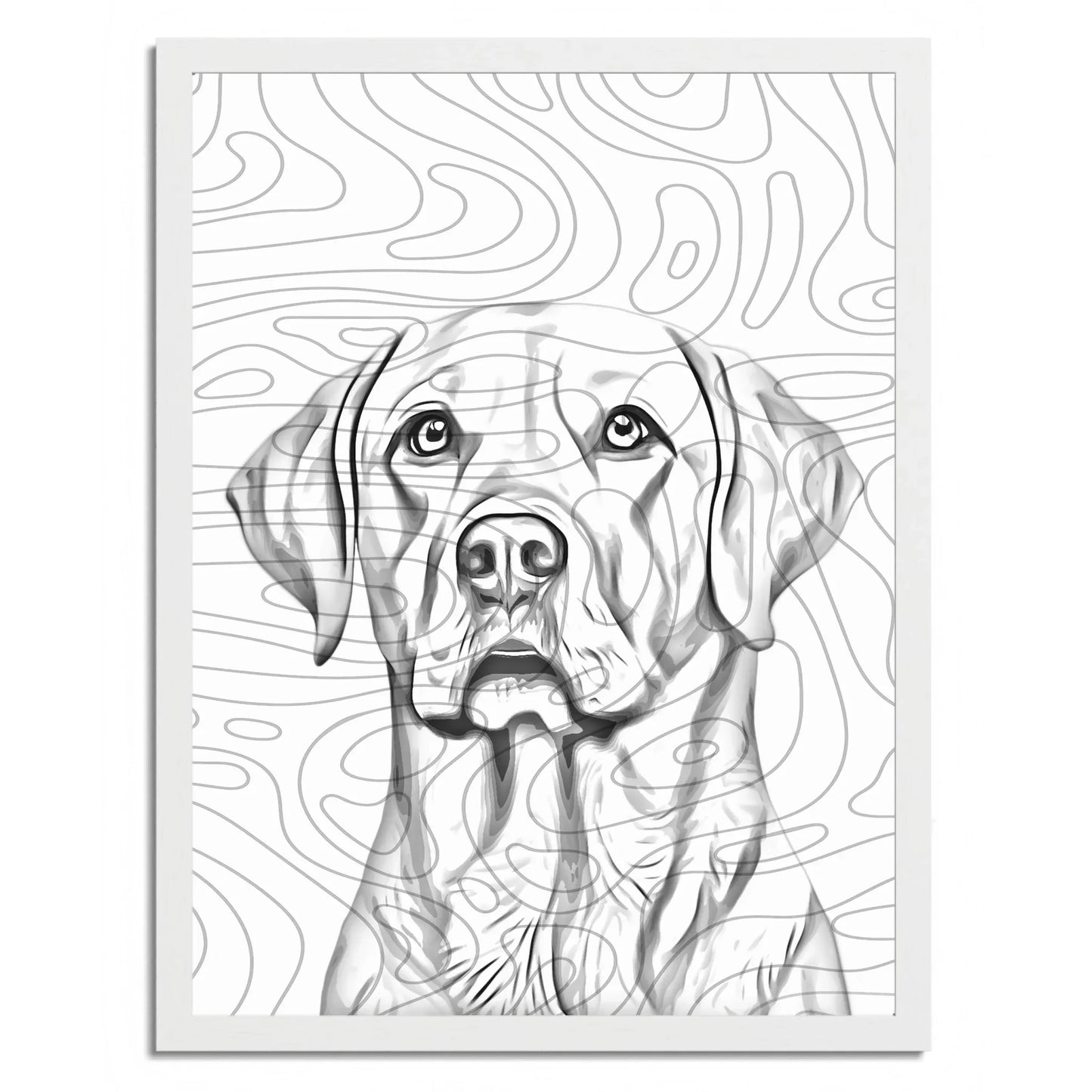 01 03 C Frame 18x24 White Front