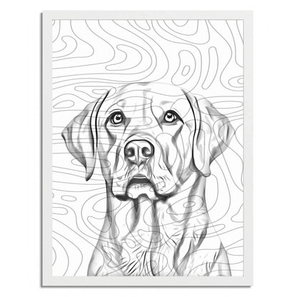01 03 C Frame 18x24 White Front