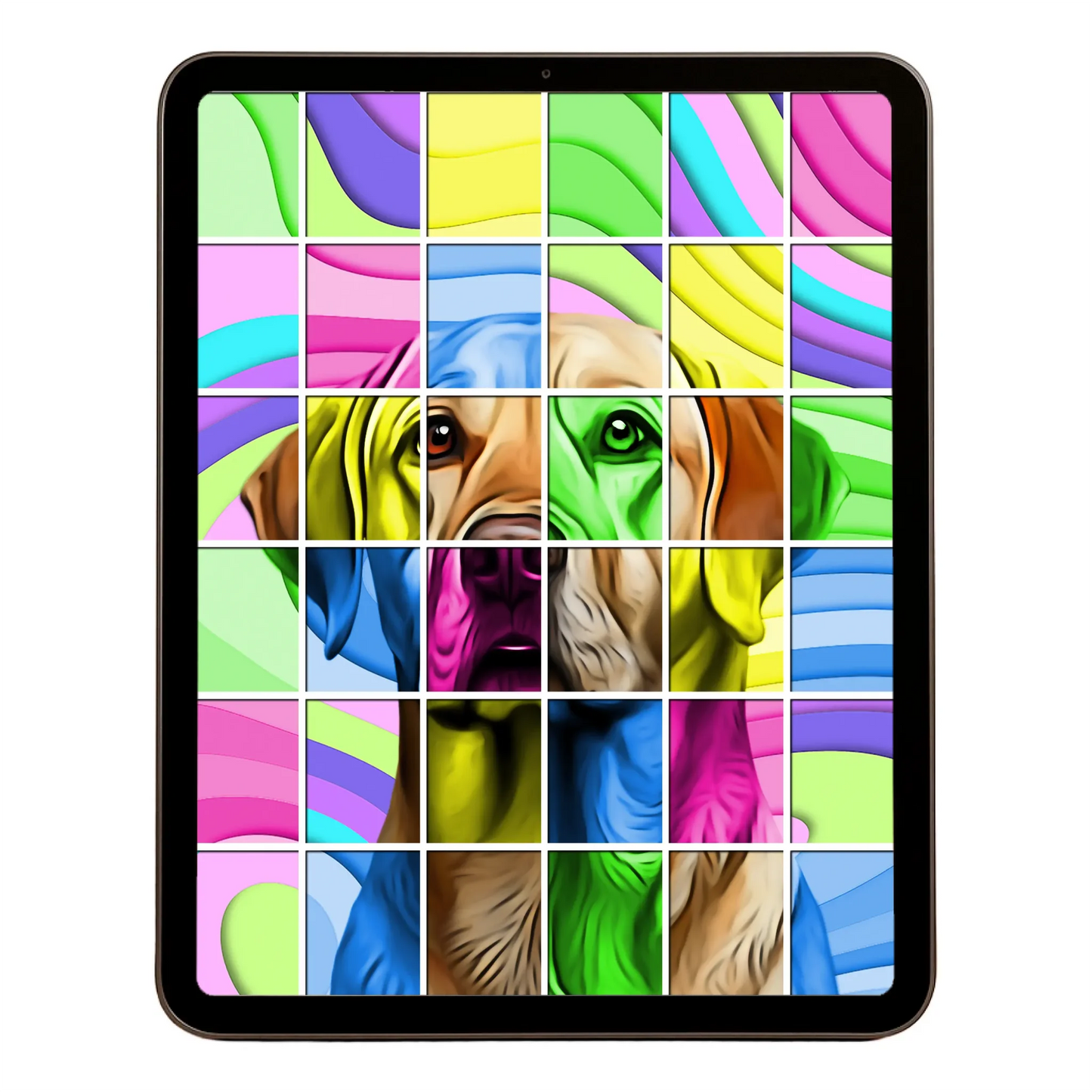 00 Digital Download A