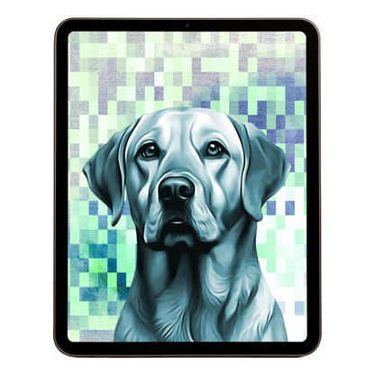 00 Digital Download A