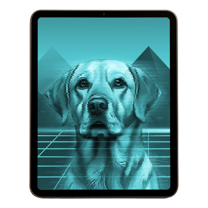 00 Digital Download A