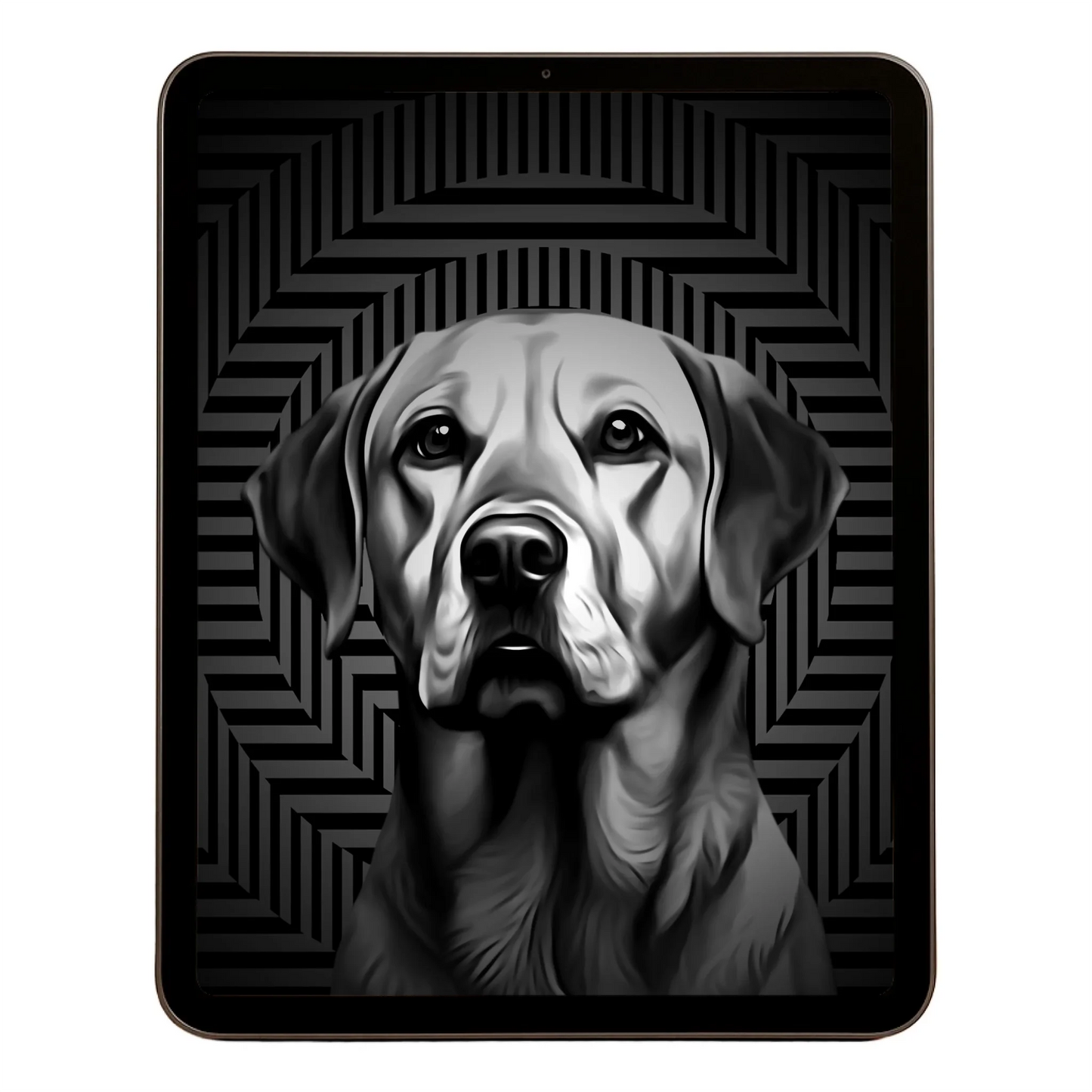 00 Digital Download A