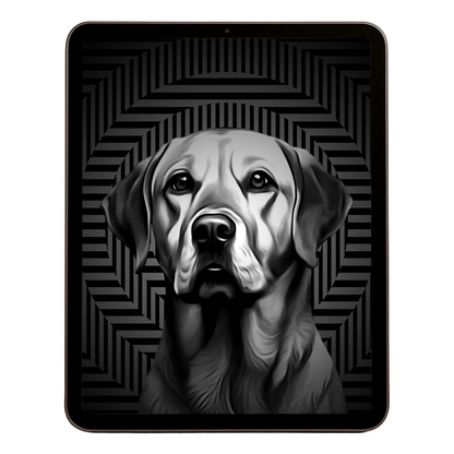 00 Digital Download A